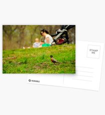 Prospect park Postcards