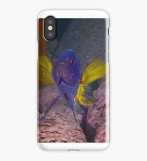 Skillion eastern blue devil iPhone Case