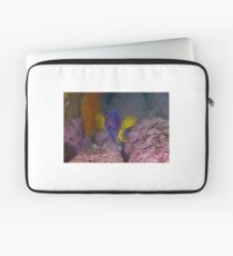 Skillion eastern blue devil Laptop Sleeve