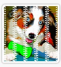 gxp australian shepherd aussie dog puppy vector art Sticker