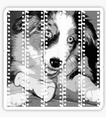 gxp australian shepherd aussie dog puppy vector art black white Sticker