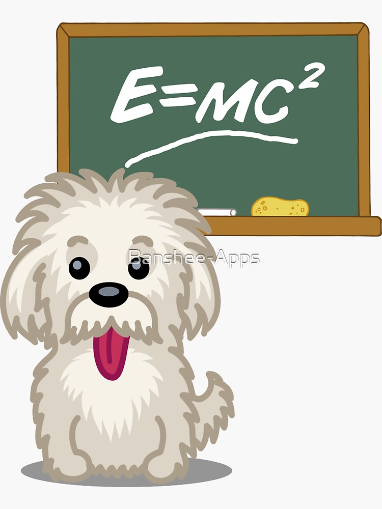 Maths Equation Einstein Shitsiu dog tshirt - Dog Gifts for Shihtzu and Maltese Dog Lovers by Banshee-Apps