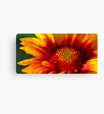 Gaillardia Leinwanddruck