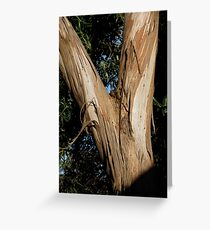 Forked tongue? Greeting Card