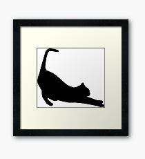 Cat Stretch Framed Print