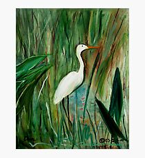 Egret Photographic Print