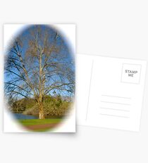 Halo Postcards