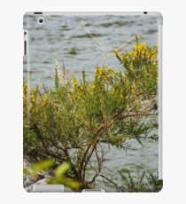 Caragana Perch iPad Case/Skin