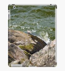 Rocks of the Ocean iPad Case/Skin