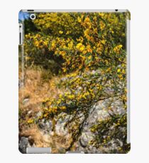 Caragana Flowers iPad Case/Skin