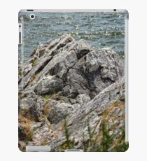 Rocky Peak iPad Case/Skin
