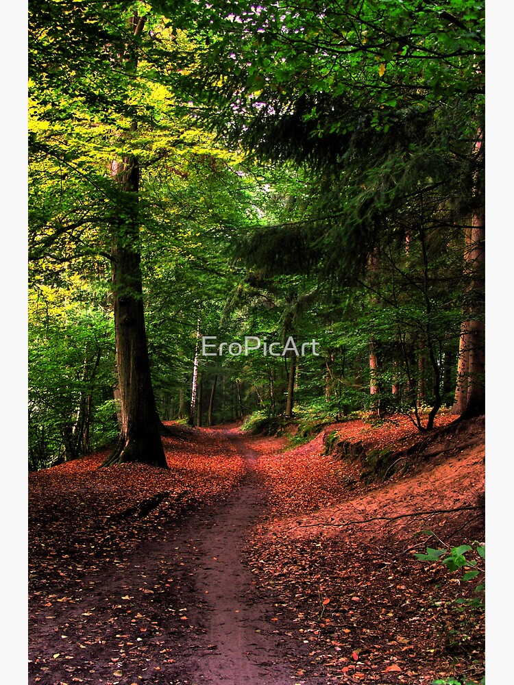 Autumn by EroPicArt