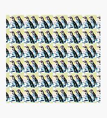 Penguin repeat pattern Photographic Print