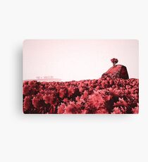 Beyond the Solar System Canvas Print