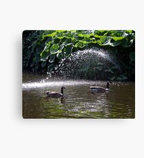 Soulmates Canvas Print