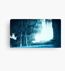 Beyond the Solar System Canvas Print