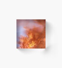 DOF Acrylic Block