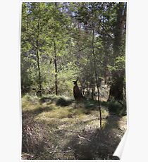 BIG Red ROO Poster