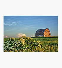 Elderberries And Old Barns Photographic Print