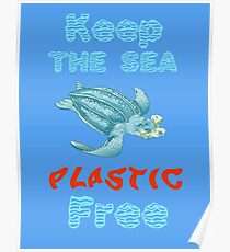 Plastic Pollution Poster