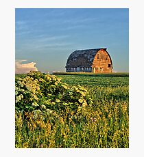 Elderberries And Old Barns No 2 Photographic Print