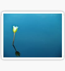 Water Lily Bud Sticker