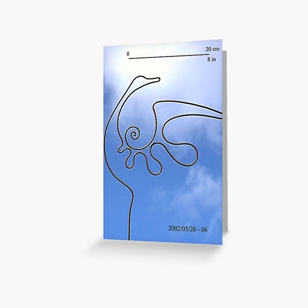 Preening Bird Greeting Card