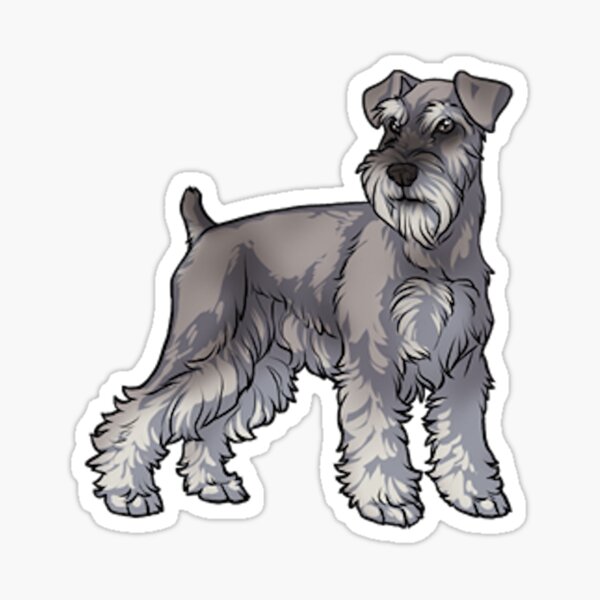 Schnauzer Gifts & Merchandise | Redbubble