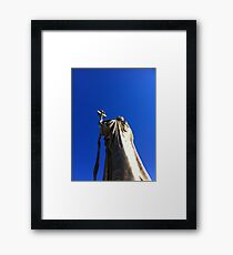Golden statue Framed Print