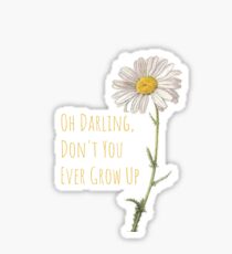 Taylor Swift Lyrics: Stickers | Redbubble