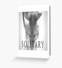 Solitary Greeting Card