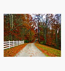 *COUNTRY ROAD* Photographic Print
