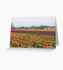 rows of color Greeting Card