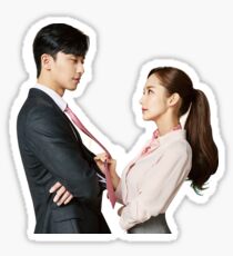 Why Secretary Kim Sticker