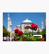 Turkish Rose Photographic Print