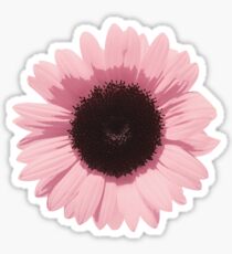 Pink Sunflower Sticker