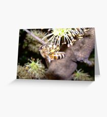 Yummy flowers Greeting Card