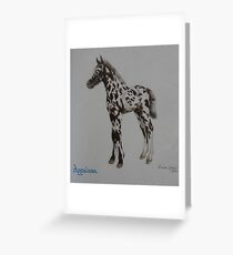Appaloosa (For Skyhorse) Greeting Card