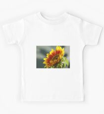 Yellow and Orange Gerber Kids Tee