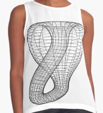 A two-dimensional representation of the Klein bottle immersed in three-dimensional space, #TwoDimensional, #representation, #KleinBottle, #immersed, #ThreeDimensional, #space Contrast Tank