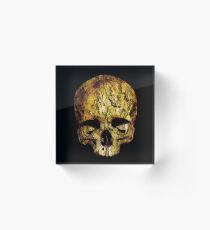 Totenkopf mit Baumrinde Acrylblock