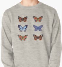 Butterflies Pullover