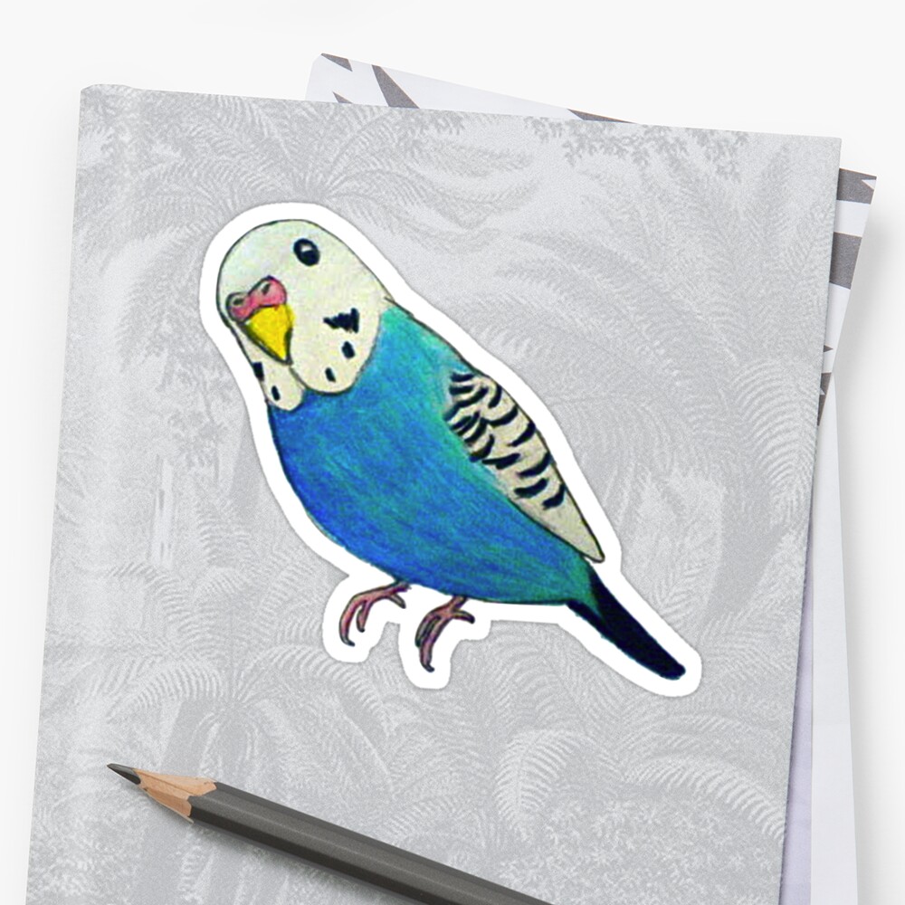 "Parakeet Drawing" Sticker by parakeetart | Redbubble