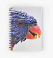 Rainbow Lorikeet Spiral Notebook