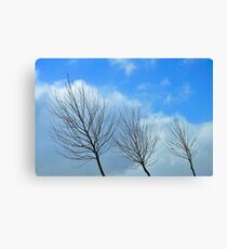 reaching #4 Canvas Print