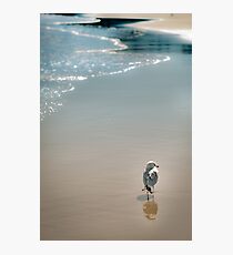 Shoreline Solitude Photographic Print
