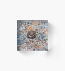 Bloque acrílico El ritmo de un caracol