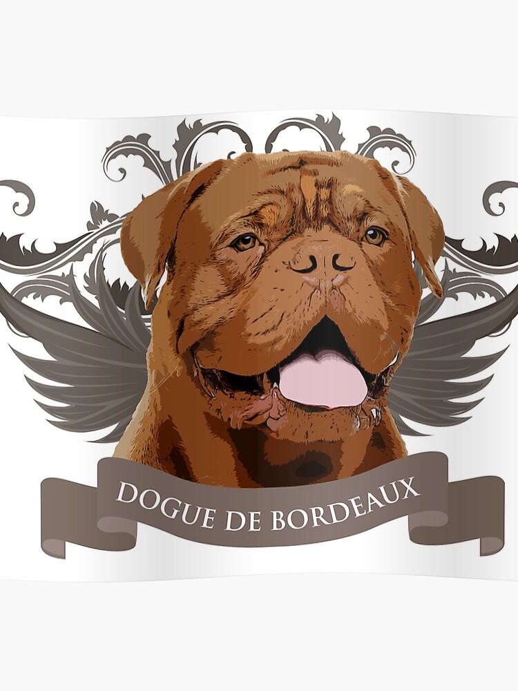 Dogue De Bordeaux Size Chart