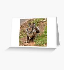 Furry Mother & Child Portrait Greeting Card