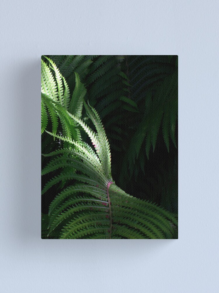 Alternate view of Fern Canvas Print